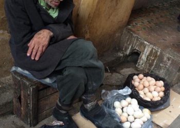 Truth Betold story of the egg seller
