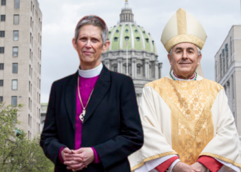 website design package