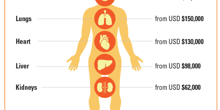 Libya was the most stable country, Before Obama:  Nigerians warned against organ traffickers:
