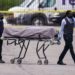 Former FedEx employee allegedly opened fire at facility, killing 8 | WNT