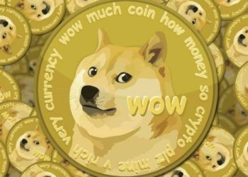 Two Ways That Dogecoin Is the GameStop of Cryptos and some history