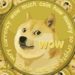 Two Ways That Dogecoin Is the GameStop of Cryptos and some history
