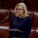 Liz Cheney ‘Remaining silent and ignoring the lie emboldens the liar’