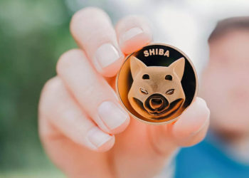 Shiba Inu Coin Price Soars to Record High After Robinhood Petition