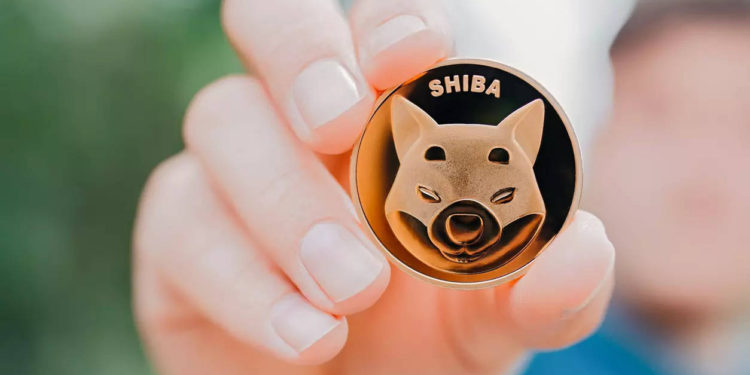 Shiba Inu Coin Price Soars to Record High After Robinhood Petition
