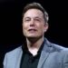 Market Wrap Year-End Review: Musk Pumps Bitcoin and Dogecoin and  Time person of the year Elon Musk
