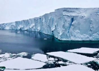 ‘Doomsday Glacier’: Experts Raise Alarms About Cracking Antarctic Ice Shelf
