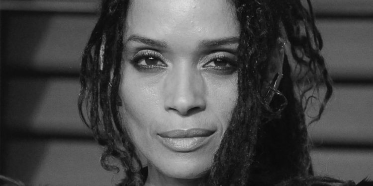 All the Signs Lisa Bonet & Jason Momoa’s Relationship Was DOOMED.  Zoe Kravitz Step Dad is Aquaman and his Stepdaughter is  Cat woman. Lenny Kravitz music.