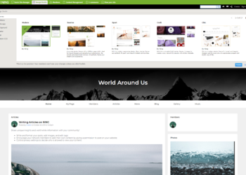 An Analysis of Ning 3.0