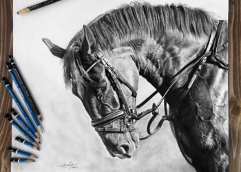 Art and Chelsea Noyon