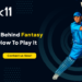 The Concept Behind Fantasy Cricket And How To Play It