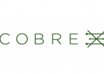 Cobre Secures $25M BHP Investment for Botswana Copper Exploration