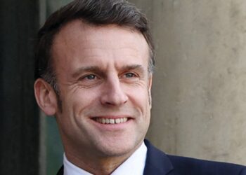 Poison protest painter gives French prez the chop – The Art Newspaper