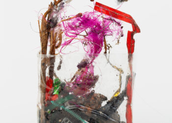 The Unexpected Beauty of Detritus