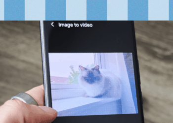 I Converted My Photos Into Short Videos With AI on Honor’s Latest Phones. It’s Weird