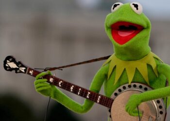 Kermit the Frog hopes graduates walk away inspired from his University of Maryland commencement speech