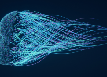 Navigate in a cookie-less world, leverage AI and think community-first