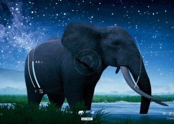 サバンナの風を感じながらただシャッターを切る。野生動物撮影シム「Seclusa」（ほぼ日 インディーPick Up！）