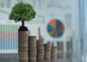 Why perfect carbon audits could cripple climate finance — and what to fix instead