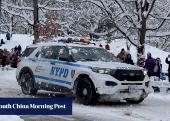 New York police arrest man after officers were pelted during snowball fight