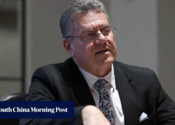 EU too slow to act as China rewrites global trade rules, trade chief Sefcovic warns