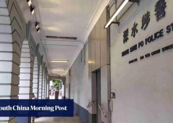 Hong Kong boy, 14, held over online videos, photos depicting abuse of cats