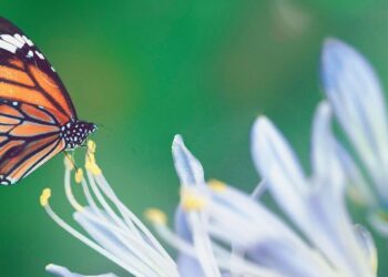Our Best Science Lesson Didn’t Come From a Book; It Came From Taobao | jingkids international | Beijing | September 5th, 2025