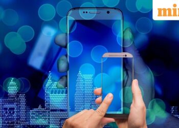 Dixon Technologies slides-is more pain ahead?