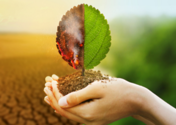 How to scale voluntary carbon markets with DeFi and Web3