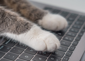 5 Final Snippets of Advice!